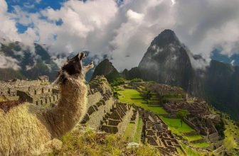 Ultimate Guide to the Wonders of the World: Ancient, Natural, and New